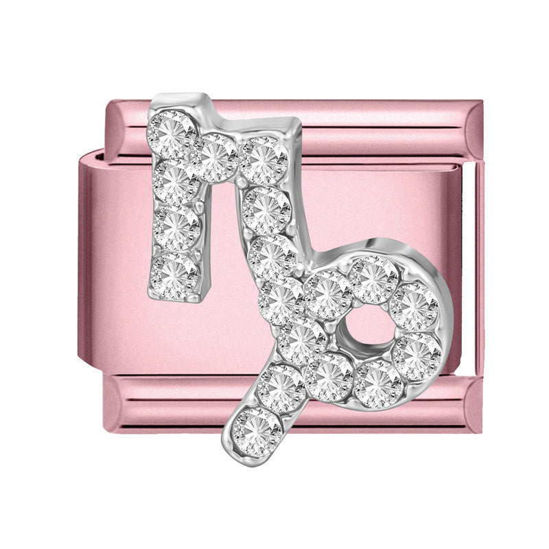 Wholesale Trendy Pink Zodiac Pisces Bracelet Charm Stainless Steel Crystal DIY Jewelry Accessory For Party Gift