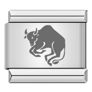 Wholesale  Italian modular Titanium steel laser engraving series 12 constellations bracelet DIY bracelet