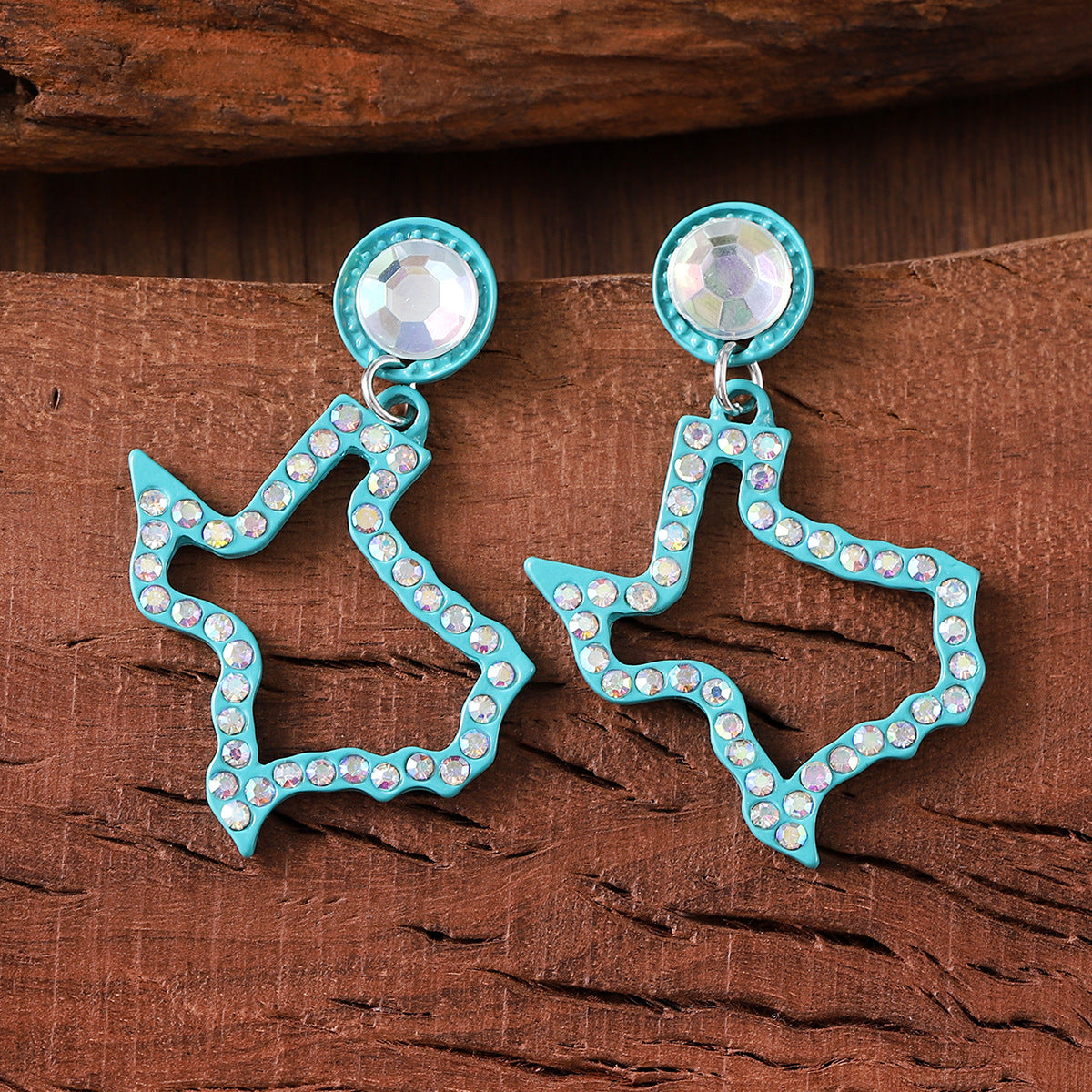 Wholesale  Irregular Map Pendant Earrings