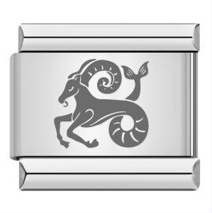 Wholesale  Italian modular Titanium steel laser engraving series 12 constellations bracelet DIY bracelet