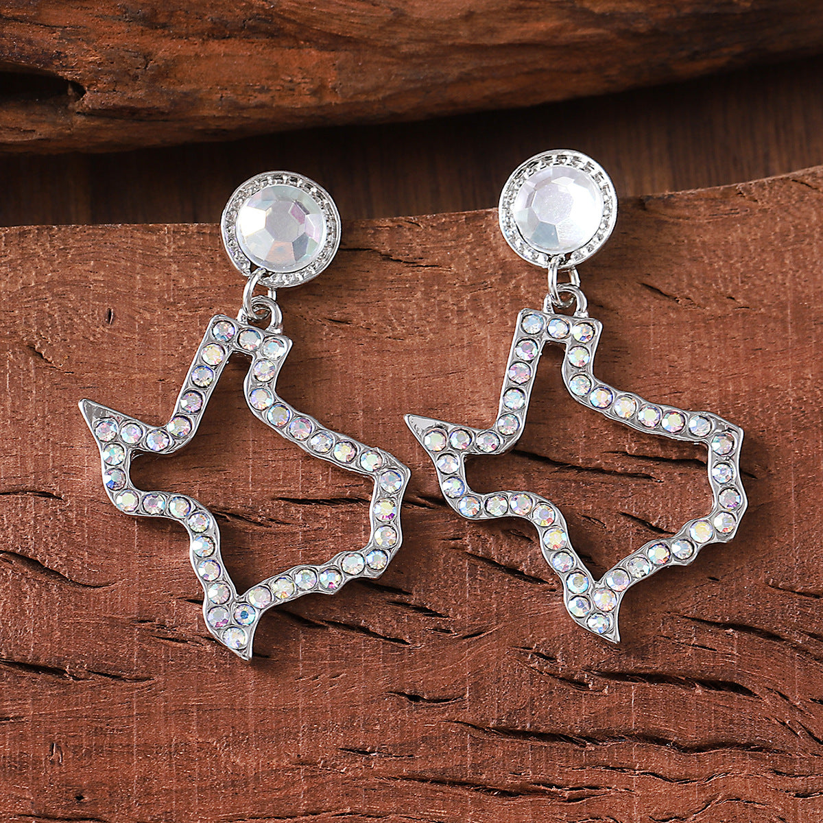 Wholesale  Irregular Map Pendant Earrings