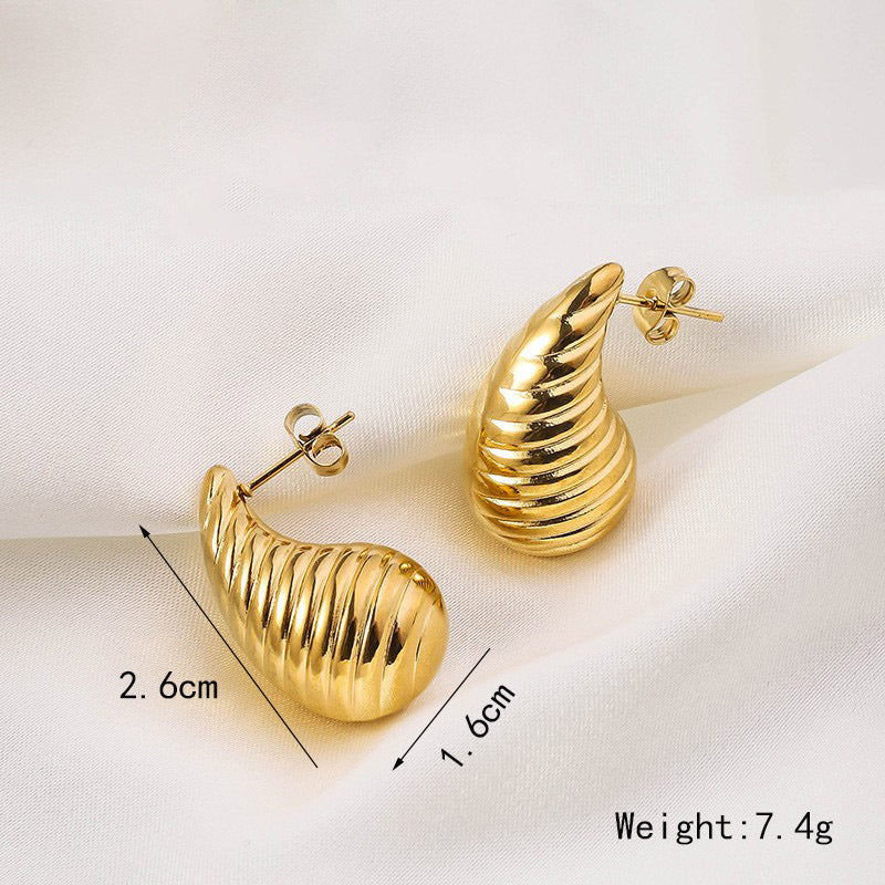 Wholesale Stainless Steel Irregular Exaggerated Earrings ACC-ES-RuiX012