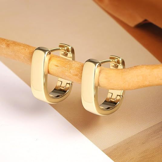 Wholesale Oval  Electroplating Technology Copper  Earrings