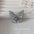 Wholesale Light Luxury Grey Butterfly Brooch