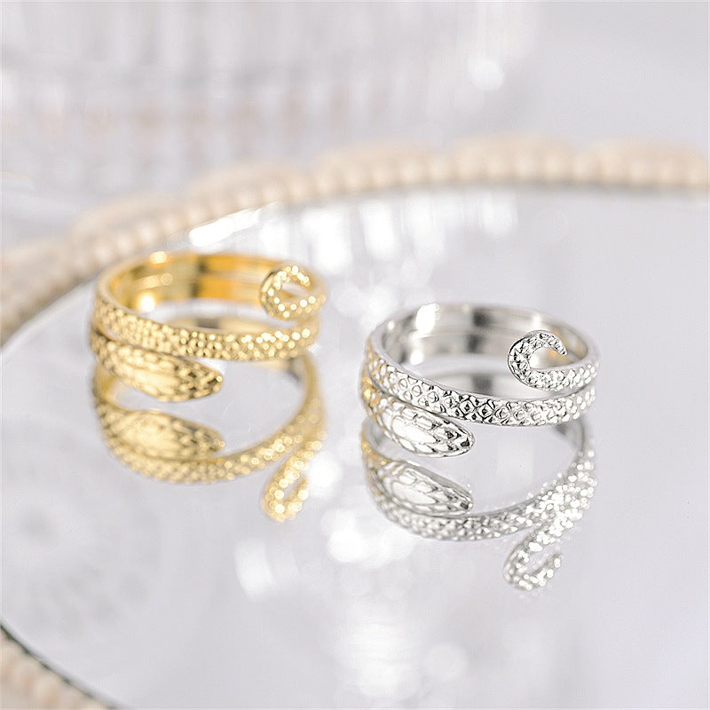 Wholesale Vintage Open Titanium Steel Snake Rings ACC-RS-DingChao010