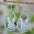 Wholesale Easter Egg Basket Hollow Water Drop Wooden Double Sided Earrings