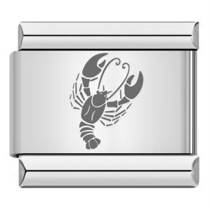 Wholesale  Italian modular Titanium steel laser engraving series 12 constellations bracelet DIY bracelet