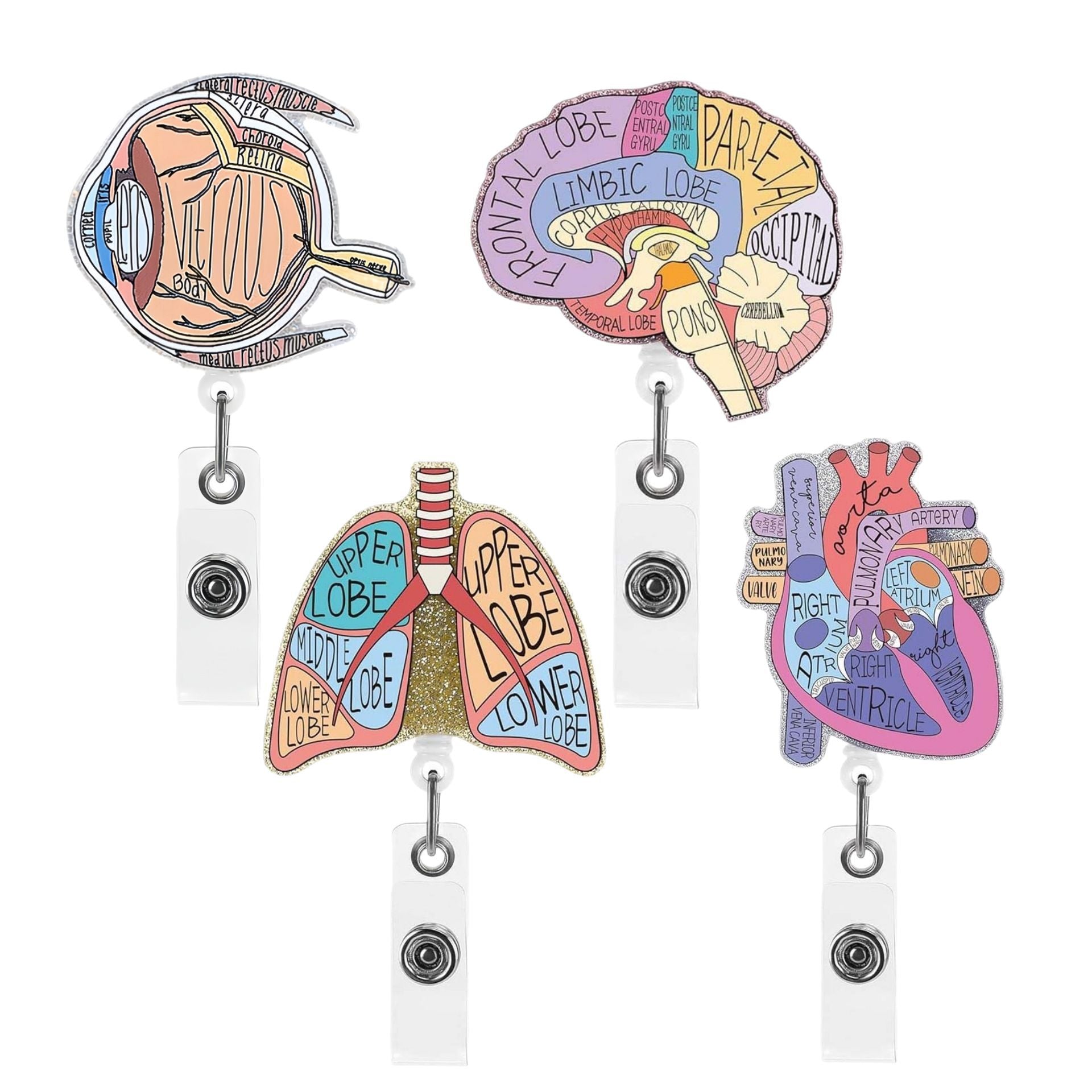 Wholesale Glitter Brain and Lung Human Organs Acrylic Retractable Clip Badge Keychain
