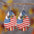 Wholesale Independent Station Explosions US Independence Day Earrings