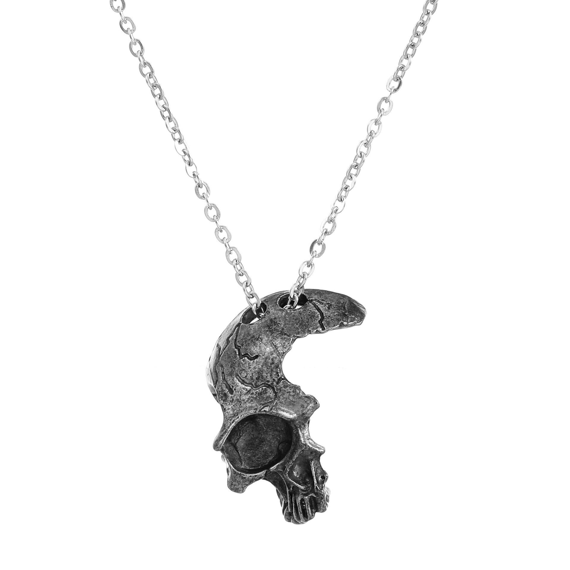 Wholesale Men' s Skull Pendant Necklace Vintage Gothic Alloy Electroplated Casual Fashion Accessory