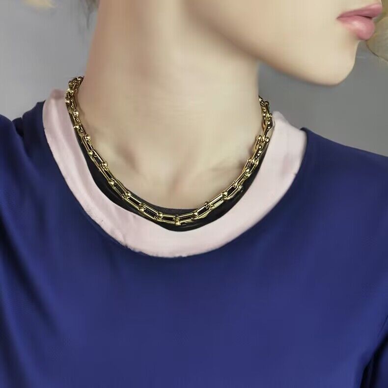 Wholesale Horseshoe Chain Necklace Clavicle Chain Titanium Steel Choker Necklace ACC-NE-BTB002