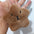 Wholesale Cute Capybara Star Cartoon Pendant Plush Keychain