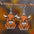 Wholesale western style retro  cow head  double-sided wooden earrings