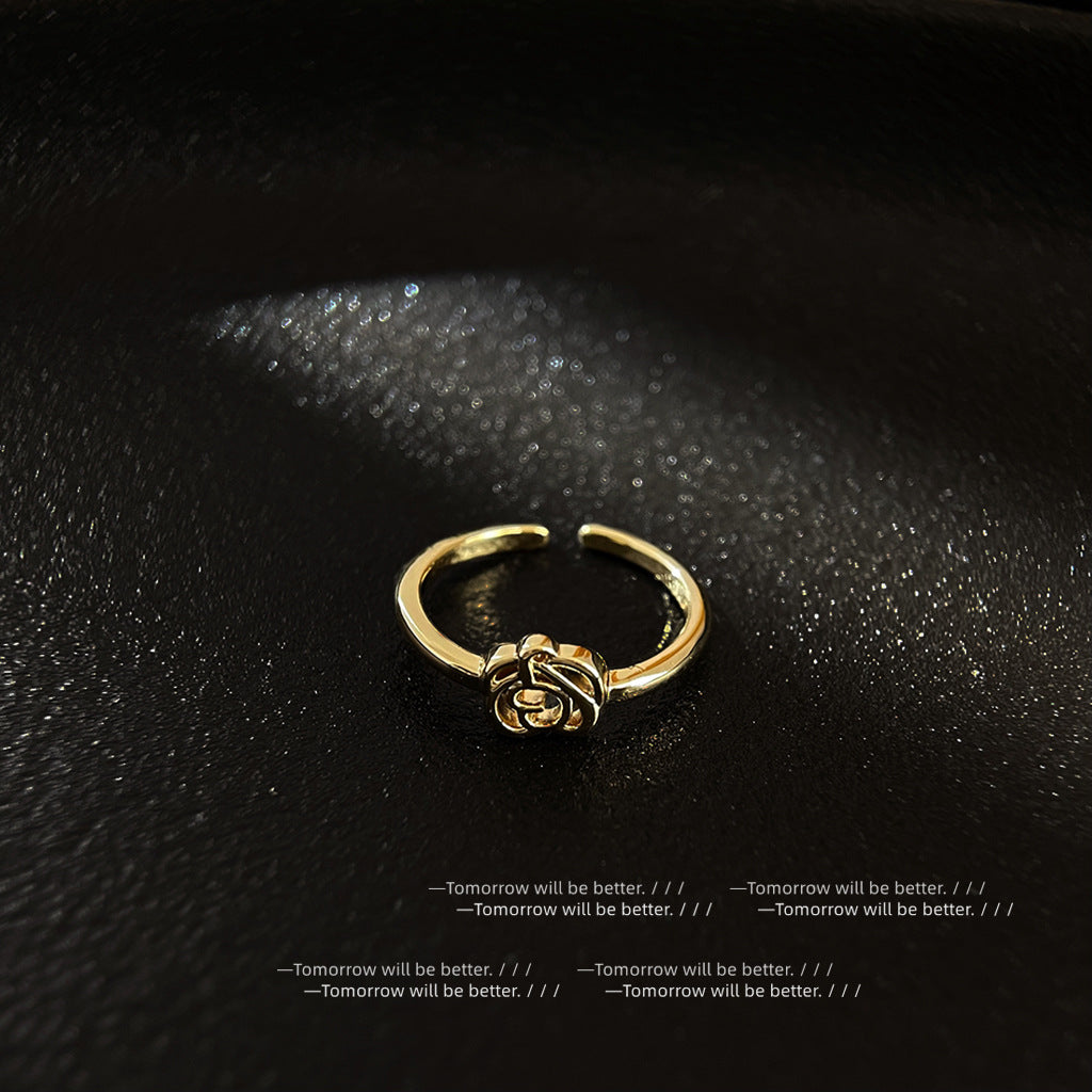 Wholesale Zircon Ring Electroplated Split Ring Adjustable Rings ACC-RS-Eryu001