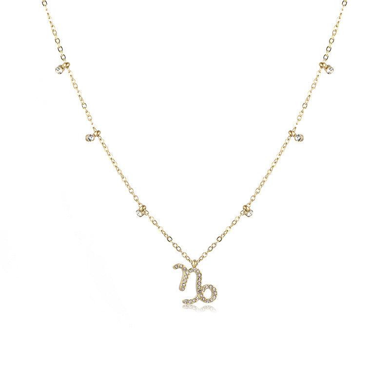 Wholesale Stainless Steel Necklace 12 Constellation Necklaces ACC-NE-YunHe001