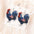 Wholesale double-sided acrylic American Independence Day butterfly chicken earrings
