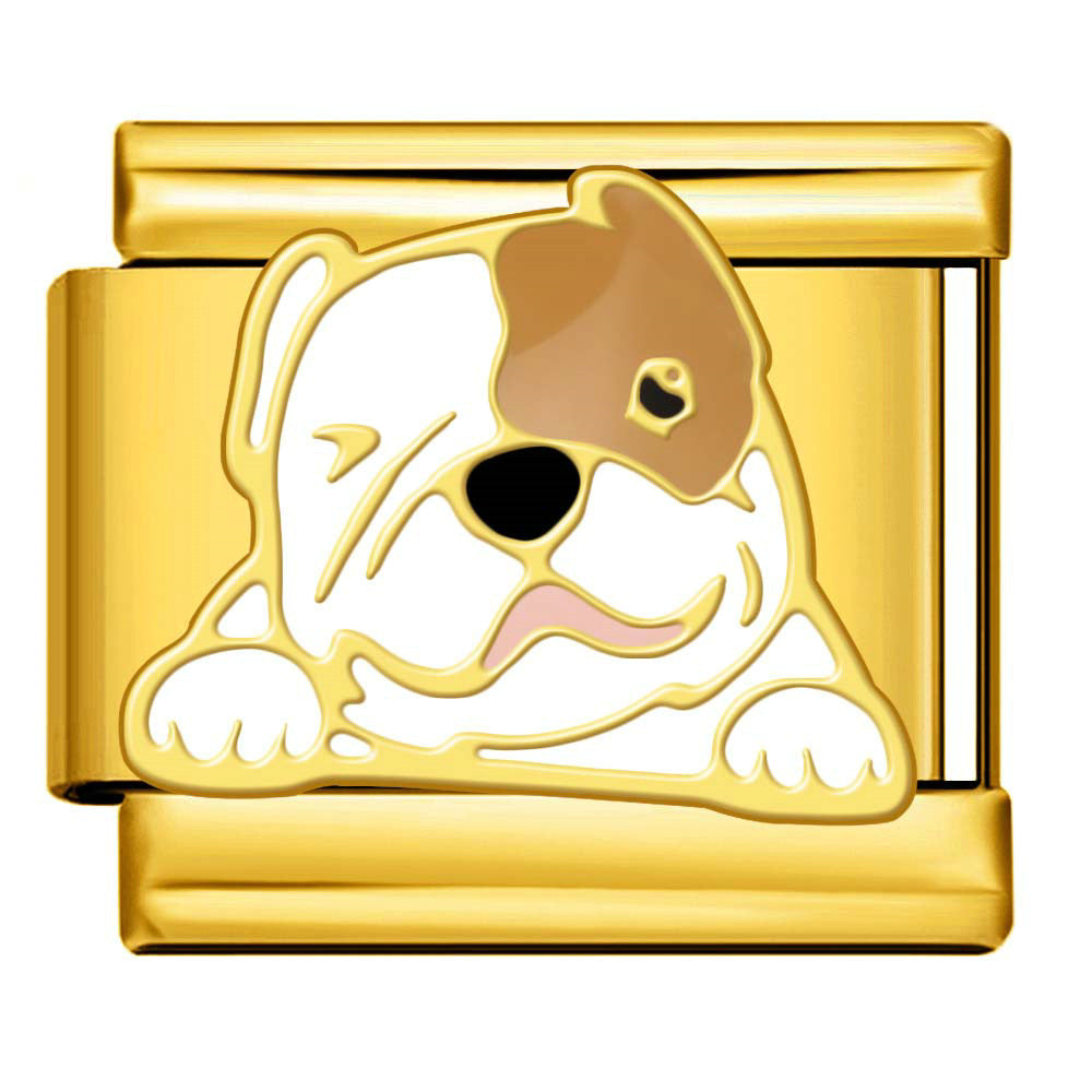 Wholesale 9mm Italian Charm Starter Bracelets DIY Cat and Dog Single Section Creative Stainless Steel Composable Bracelet