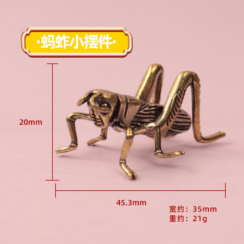 dxx-img:2439e34930cf592349956e2af4f1d657,ACC-MF-5449247002595-M1