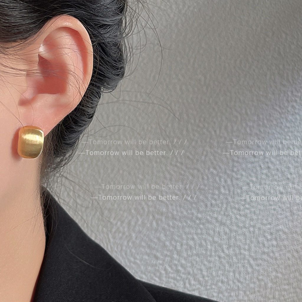 Wholesale Brushed Frosted Geometric Earrings Ear Studs ACC-ES-Eryu003