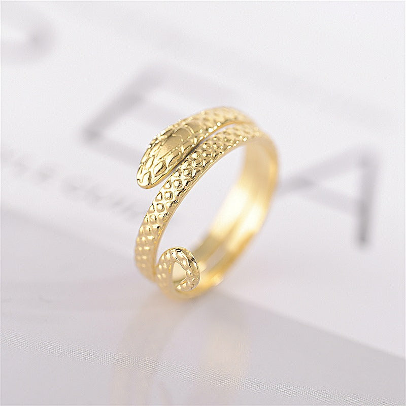 Wholesale Vintage Open Titanium Steel Snake Rings ACC-RS-DingChao010