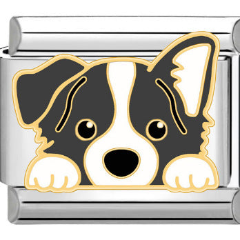 Wholesale Italian Charm Bracelet 9mm DIY Splicing Removable Dog Pet Stainless Steel Composable Bracelet