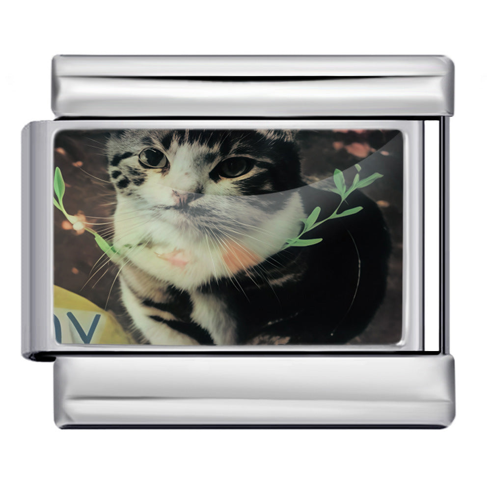 Wholesale Italian Charm Bracelet 9mm DIY Cute Cat Series  Creative Stainless Steel Composable Bracelet