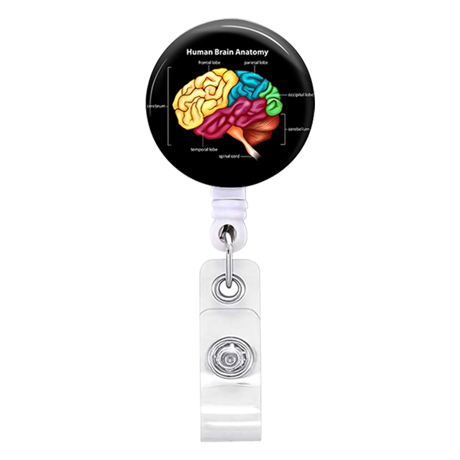 Wholesale Heart Spleen and Lung Brain Badge Reels
