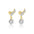 Wholesale 925 sterling silver star and moon zircon round head earrings