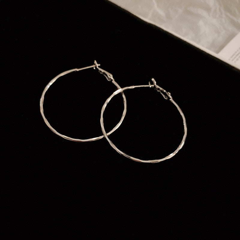 Wholesale 925 Silver Needle Earrings Exaggerated Earrings Statemente Earrings ACC-ES-Huiih003