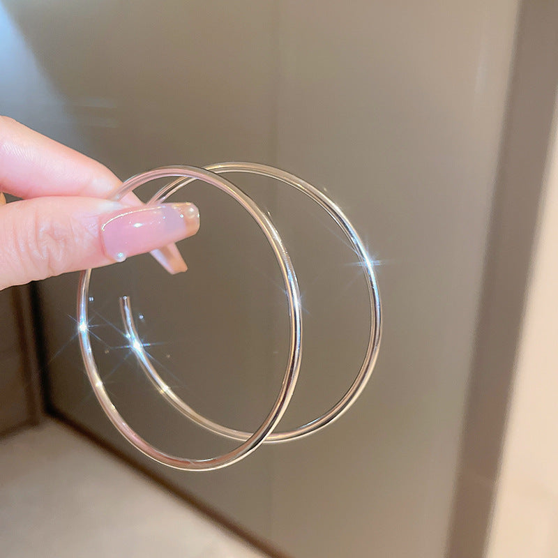 Wholesale 925 Silver Needle Earrings Exaggerated Earrings Statemente Earrings ACC-ES-Huiih003