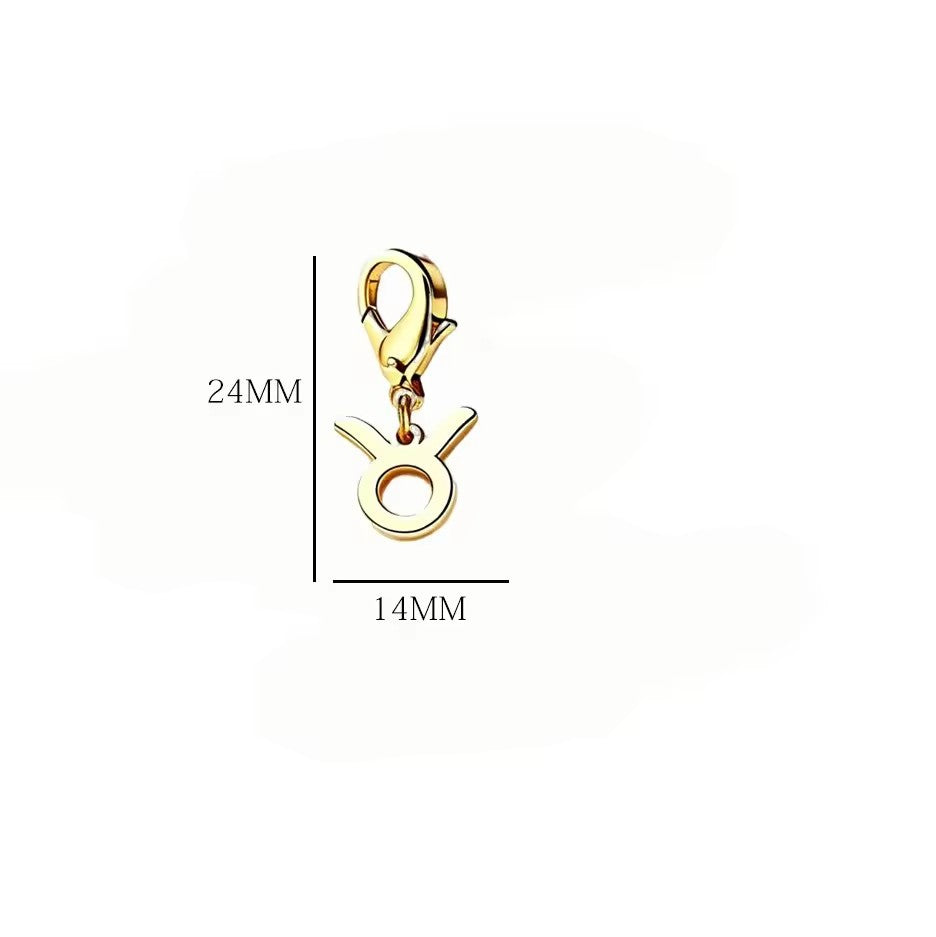 Wholesale Casual Stainless Steel Zodiac Pendant Charms with Lobster Clasp for DIY Jewelry Bracelets Necklaces,  Gift Idea