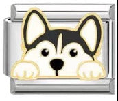 Wholesale Italian Charm Bracelet 9mm DIY Splicing Dog Series Stainless Steel Composable Bracelet