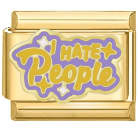 Wholesale Italian Charm Bracelet 9mm DIY  Pineapple Natural Landscape   Creative Stainless Steel Composable Bracelet