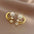 Wholesale light luxury  temperament earrings