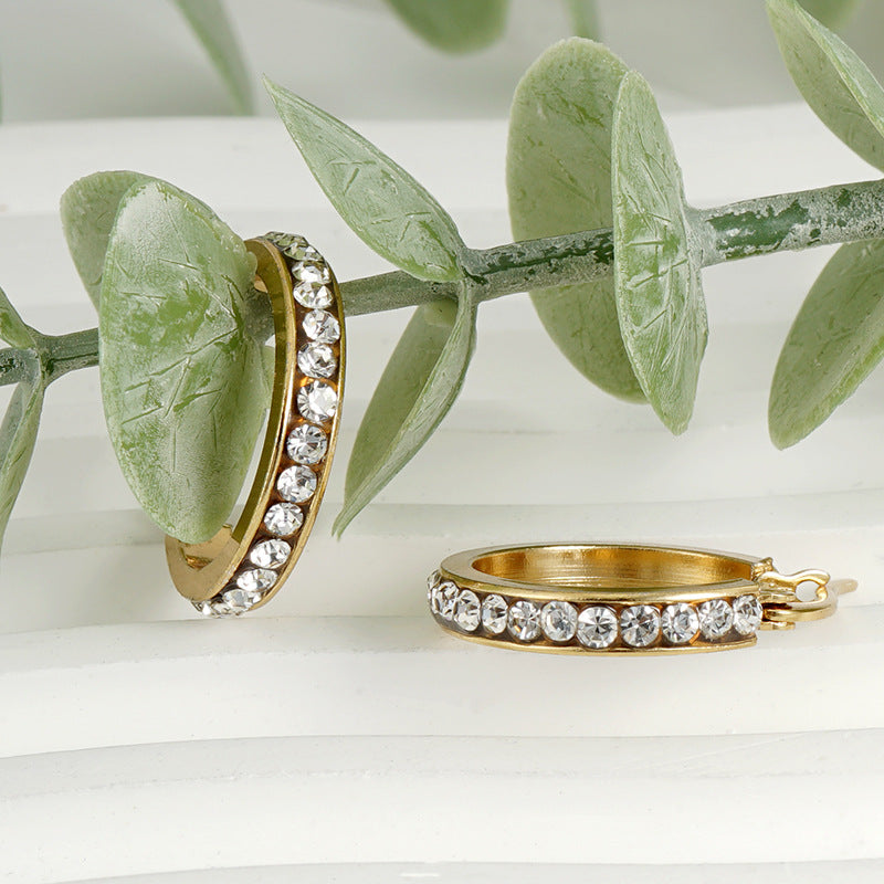 Wholesale 18K Gold Stainless Steel Round Diamond Earrings ACC-ES-ZhongXin015