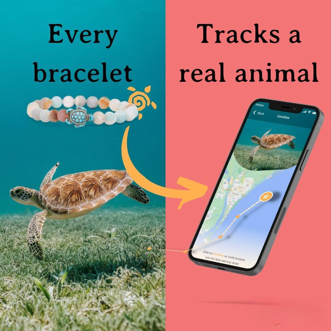 Wholesale Tracking Bracelet Support Sea Turtle Protection Elastic Turquoise Bracelet ACC-BT-ZhongH026